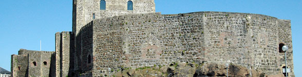 Carrick Castle Carrick Castle